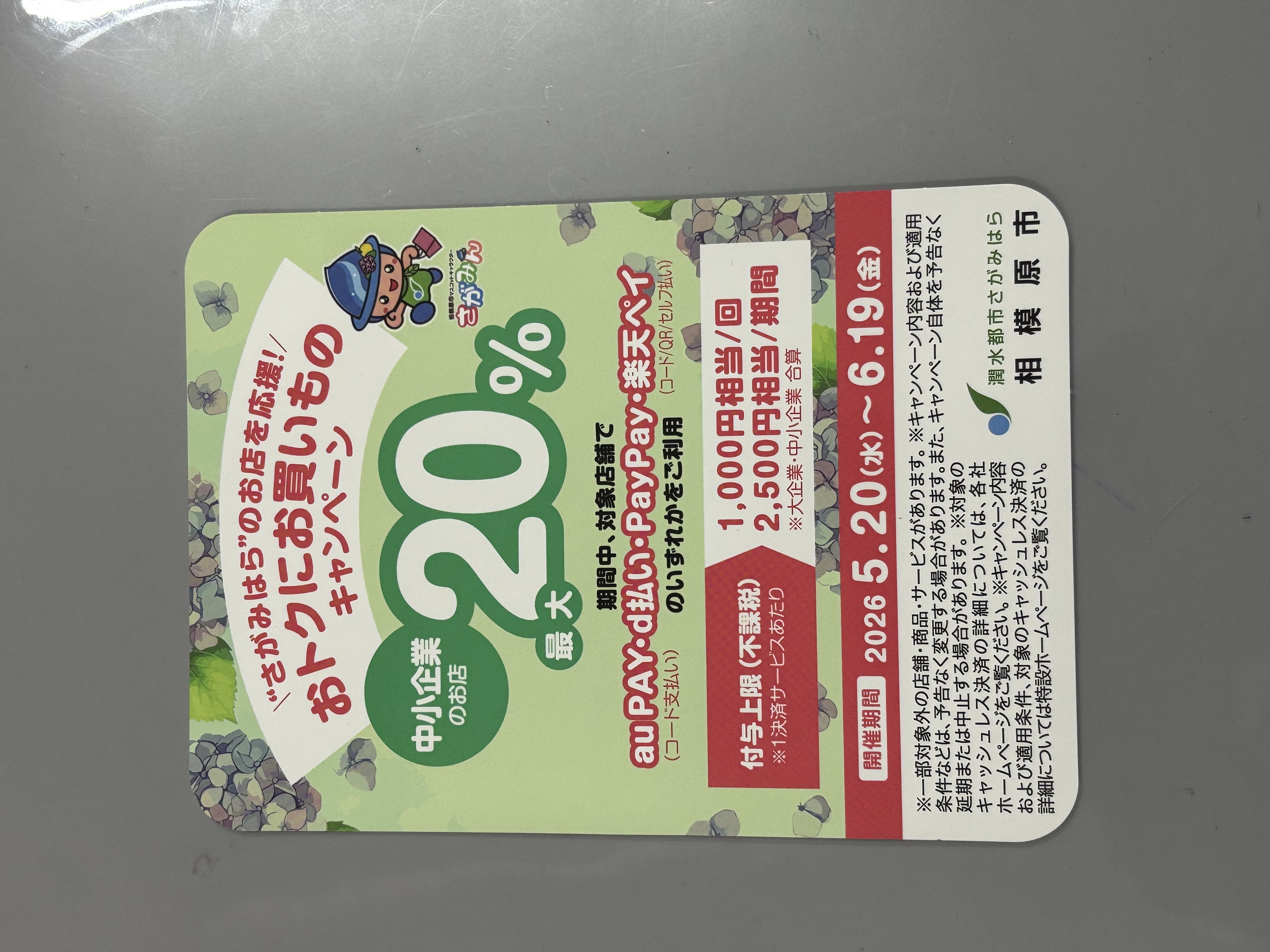 キャンペーンのお知らせ(´・ω・｀)