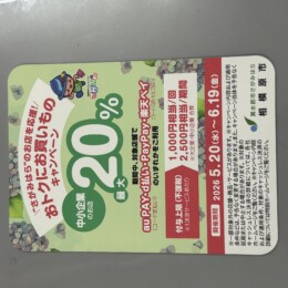 キャンペーンのお知らせ(´・ω・｀)